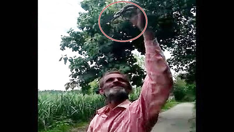 ಭಯಾನಕ ವಿಡಿಯೋ: ಕುಡಿದ ಮತ್ತಿನಲ್ಲಿ ಜೀವಂತ ಹಾವು ನುಂಗಿ 4 ಗಂಟೆಯಲ್ಲೇ ಶಿವನ ಪಾದ ಸೇರಿದ!