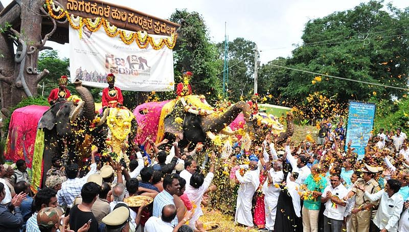 ವಿಶ್ವವಿಖ್ಯಾತ ದಸರಾ ಮಹೋತ್ಸವಕ್ಕೆ ದಿನಗಣನೆ ಆರಂಭ: ಗಜಪಯಣಕ್ಕೆ ಅದ್ಧೂರಿ ಚಾಲನೆ