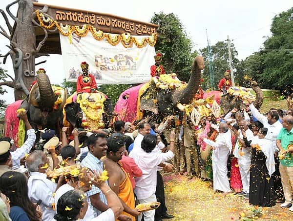 ಮೈಸೂರು ದಸರಾ: ಗಜಪಯಣಕ್ಕೆ ಅದ್ಧೂರಿ ಚಾಲನೆ