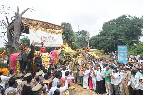 Story image