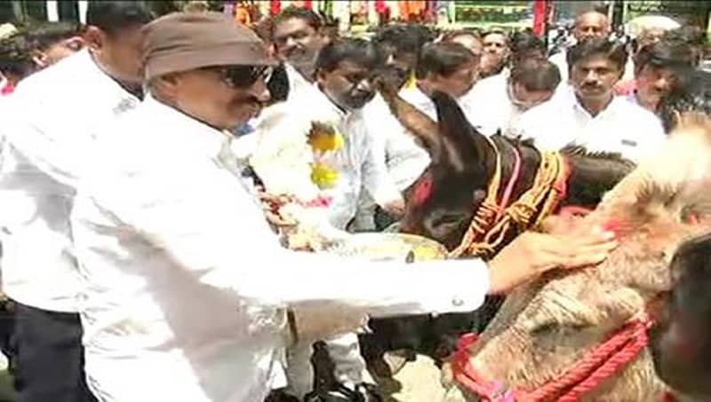 ಕತ್ತೆಗಳ ಪಾದಪೂಜೆ ಮಾಡಿ ಹುಟ್ಟುಹಬ್ಬ ಆಚರಿಸಿಕೊಂಡ ವಾಟಾಳ್ ನಾಗರಾಜ್!