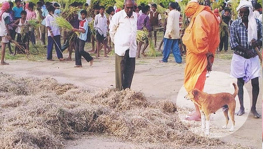 ಮೂಕಪ್ರಾಣಿಯ ಪ್ರೀತಿ: ಸಿದ್ದಗಂಗಾ ಶ್ರೀ ಶಿವೈಕ್ಯರಾದ ಬೆನ್ನಲ್ಲೇ ಅವರ ಅಚ್ಚುಮೆಚ್ಚಿನ ‘ಭೈರ’ ನಾಪತ್ತೆ!
