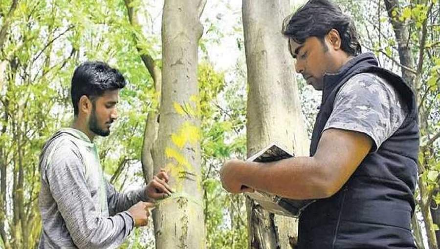 ತಿಂಗಳೊಳಗೆ ಮರಗಳ ಗಣತಿ ಕಾರ್ಯ ಆರಂಭಿಸಲು ಬಿಬಿಎಂಪಿಗೆ ಹೈಕೋರ್ಟ್ ಆದೇಶ!