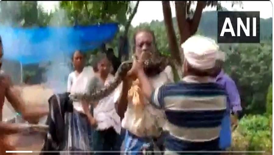 ಭಯಾನಕ ದೃಶ್ಯ: ಕಾರ್ಮಿಕನ ಕುತ್ತಿಗೆ ಸುತ್ತಿಕೊಂಡ ಹೆಬ್ಬಾವು! ಮುಂದೆನಾಯ್ತು?ವಿಡಿಯೋ