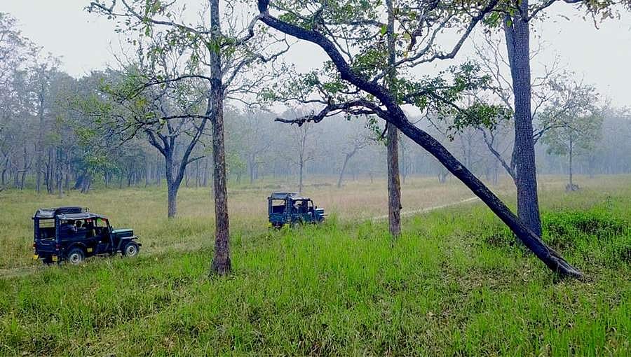 ಅರಣ್ಯ ಪ್ರದೇಶದಲ್ಲಿ ದುರ್ವರ್ತನೆ: ಬೆಂಗಳೂರು ಪ್ರವಾಸಿಗರಿಗೆ ದಂಡ