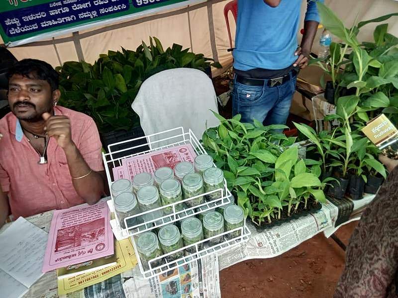 ಕೃಷಿ ಮೇಳ