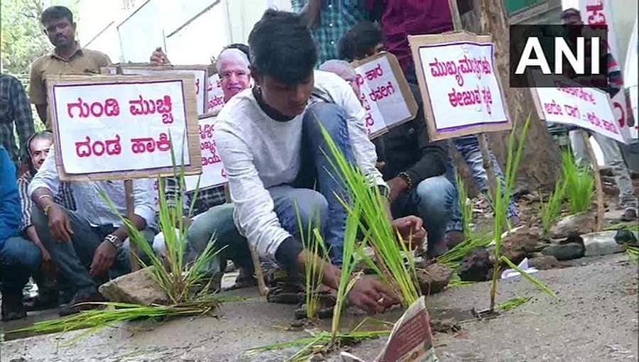 ಶಿವಮೊಗ್ಗದಲ್ಲಿ ಹದಗೆಟ್ಟ ರಸ್ತೆ: ಹೊಂಡ, ಗುಂಡಿಗಳಿಗೆ ಗಿಡ ನೆಟ್ಟು ವಿದ್ಯಾರ್ಥಿಗಳ ಪ್ರತಿಭಟನೆ