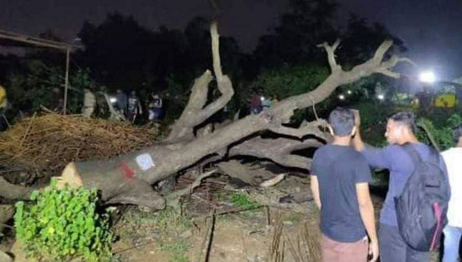 ಮೆಟ್ರೋಗಾಗಿ 2,500 ಮರಗಳ ಮಾರಣ ಹೋಮ: ಅರೆ ಕಾಲೋನಿಯಲ್ಲಿ ತೀವ್ರಗೊಂಡ ಪ್ರತಿಭಟನೆ, ಸೆಕ್ಷನ್ 144 ಜಾರಿ