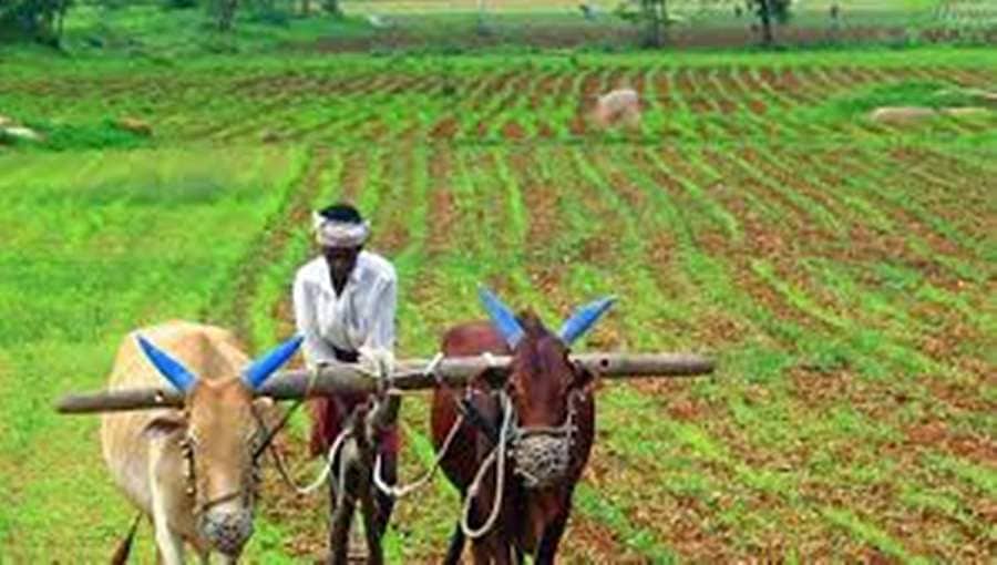 ಸಹಕಾರಿ ರಂಗಕ್ಕೆ ಕಪ್ಪುಚುಕ್ಕೆ; ಸಾಲಮನ್ನಾ ಯೋಜನೆಯಡಿ ಸರ್ಕಾರಿ ಖಜಾನೆಗೆ ಕನ್ನಾ
