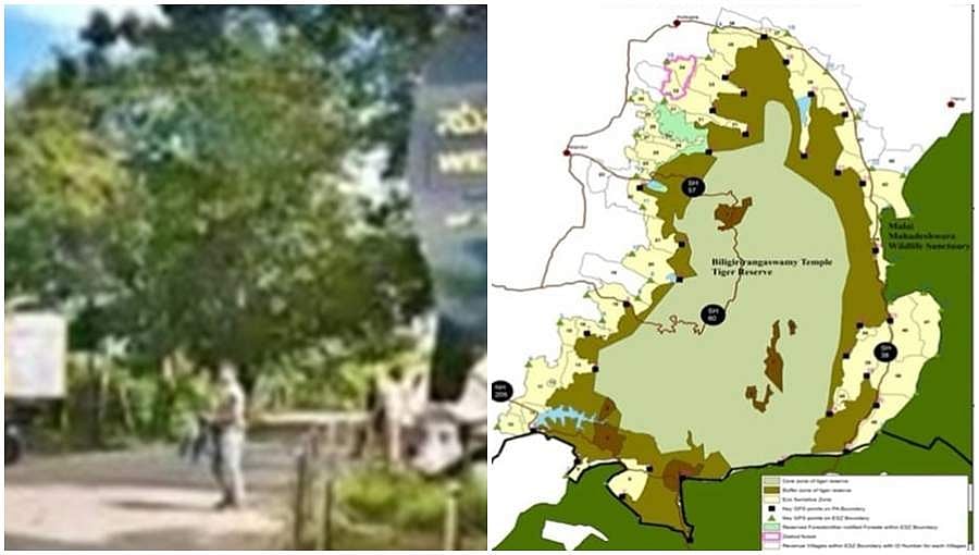 ಬಿಆರ್ಟಿ ಪರಿಸರ ಸೂಕ್ಷ್ಮ ವಲಯ: ಕೇಂದ್ರ ಸರ್ಕಾರದಿಂದ ಘೋಷಣೆ, ವಾಣಿಜ್ಯ ಚಟುವಟಿಕೆಗಳಿಗೆ ಬ್ರೇಕ್