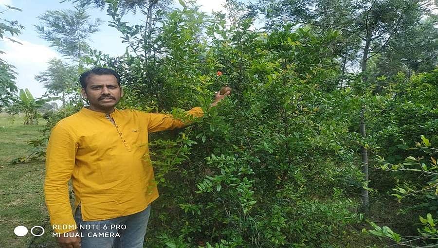 ಮಿಶ್ರ ವ್ಯವಸಾಯ, ಕೈ ತುಂಬಾ ಆದಾಯ..ಶ್ರೀನಾಥ್ ಕೃಷಿಯಲ್ಲಿ ಎಲ್ಲವೂ ಶೂನ್ಯ