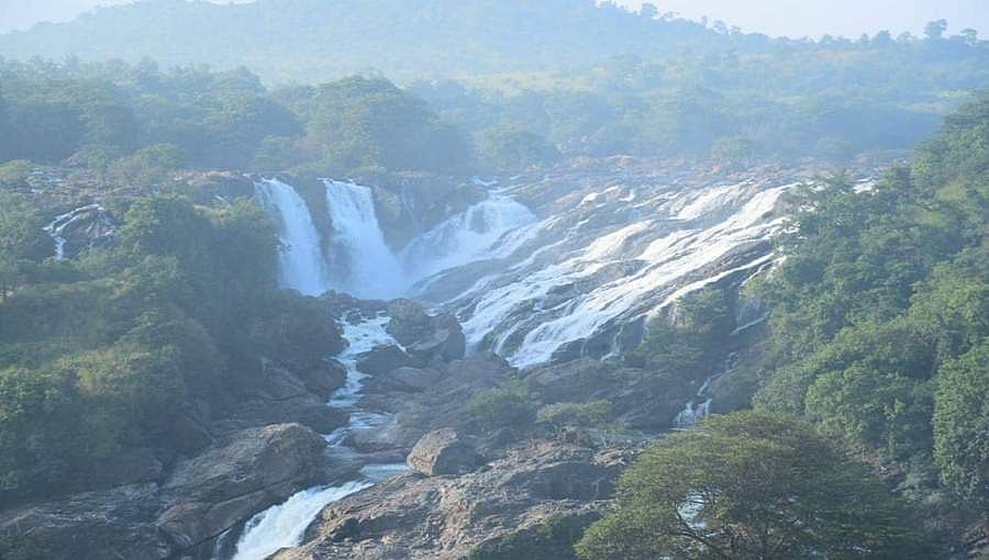 ಭರಚುಕ್ಕಿ ಅಭಿವೃದ್ಧಿಗಾಗಿ ಮಾಸ್ಟರ್ ಪ್ಲಾನ್: ವಿಶ್ವ ದರ್ಜೆಯ ಬಯೋ ಡೈವರ್ಸಿಟಿ ಪಾರ್ಕ್!