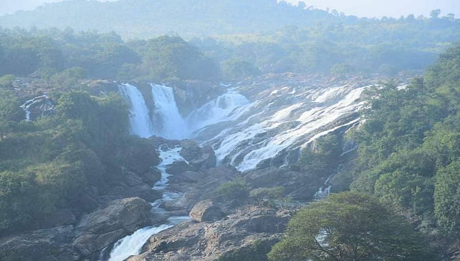 ಭರಚುಕ್ಕಿ ಅಭಿವೃದ್ಧಿಗಾಗಿ ಮಾಸ್ಟರ್ ಪ್ಲಾನ್: ವಿಶ್ವ ದರ್ಜೆಯ ಬಯೋ ಡೈವರ್ಸಿಟಿ  ಪಾರ್ಕ್!