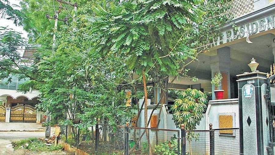 ಬೆಂಗಳೂರು:ಮನೆಯ 'ಅಂದ'ಕ್ಕೆ ಅಡ್ಡಿಯಾದ ಮರಕ್ಕೆ ವಿಷವಿಕ್ಕಿದ ವೈದ್ಯ!