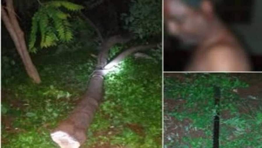 ಕೌದಳ್ಳಿಯಲ್ಲಿ ಶ್ರೀಗಂಧದ ಮರಗಳ್ಳತನ: ತಡೆಯಲು ಹೋದ ಶಿಕ್ಷಕನಿಗೆ ಮಚ್ಚಿನೇಟು!
