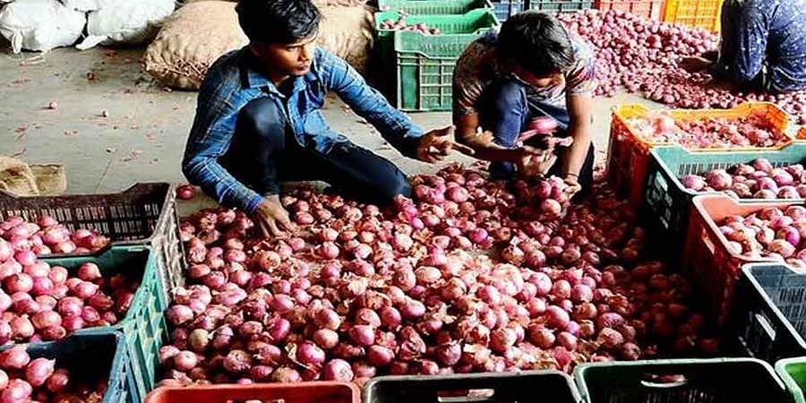 ಈರುಳ್ಳಿ ಖರೀದಿಸುವುದಕ್ಕೂ ಸಿಗುತ್ತೆ ಲೋನ್!: ವಿವರ ಹೀಗಿದೆ