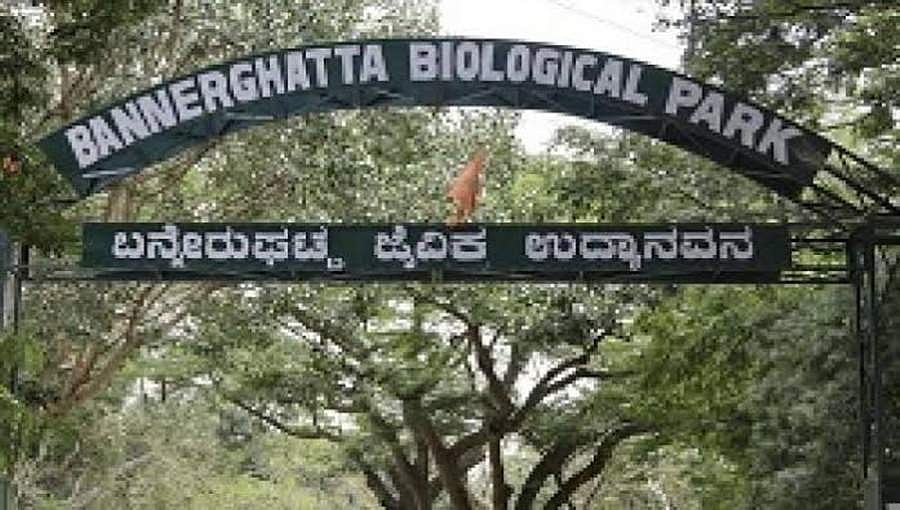 ಆನ್ ಲೈನ್ ನಲ್ಲಿ ಬನ್ನೇರುಘಟ್ಟ ಮೃಗಾಲಯಕ್ಕೆ ಟಿಕೆಟ್ ಬುಕ್ಕಿಂಗ್ ವ್ಯವಸ್ಥೆ