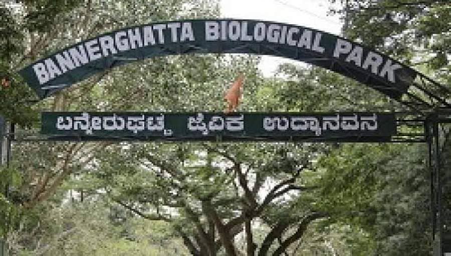 ಆನ್ ಲೈನ್ ನಲ್ಲಿ ಬನ್ನೇರುಘಟ್ಟ ಮೃಗಾಲಯಕ್ಕೆ ಟಿಕೆಟ್ ಬುಕ್ಕಿಂಗ್ ವ್ಯವಸ್ಥೆ