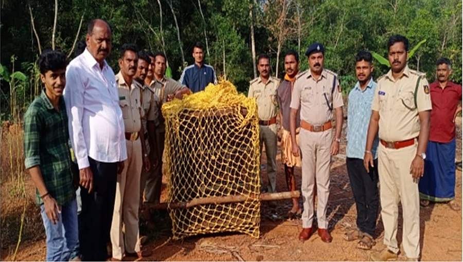 ಉಡುಪಿ: ಉಪ ದ್ರವ ಕೊಡುತ್ತಿದ್ದ ಚಿರತೆ ಕೊನೆಗೂ ಬಲೆಗೆ ಬಿತ್ತು