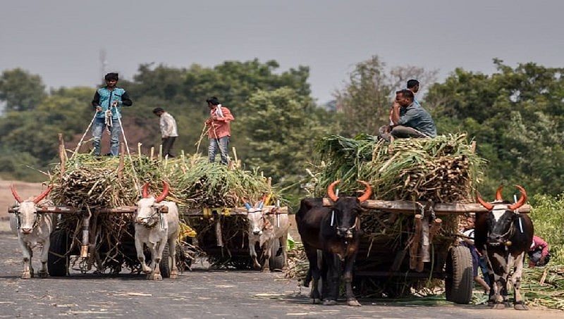 ಬಜೆಟ್ 2019: ಸಣ್ಣ ರೈತರಿಗಾಗಿ ಪ್ರಧಾನಮಂತ್ರಿ ಕಿಸಾನ್ ಸಮ್ಮಾನ್ ಯೋಜನೆ ಘೋಷಣೆ, ವಿವರ ಹೀಗಿದೆ