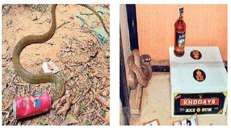 ಗುಂಡಿನ ಮತ್ತೇ ಗಮ್ಮತ್ತು:  ಶಿವಮೊಗ್ಗ ಬಾರ್ ನಲ್ಲಿ 'ನಾಗರಾಜ' ನ ಕಾರು ಬಾರು!
