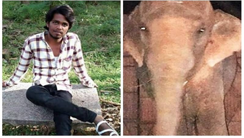 ತುಮಕೂರು: ಬಾಳೆಹಣ್ಣು ನೀಡಿದ ಯುವಕನ ತಲೆಯನ್ನೇ ಜಗಿದ ಮದಗಜ!
