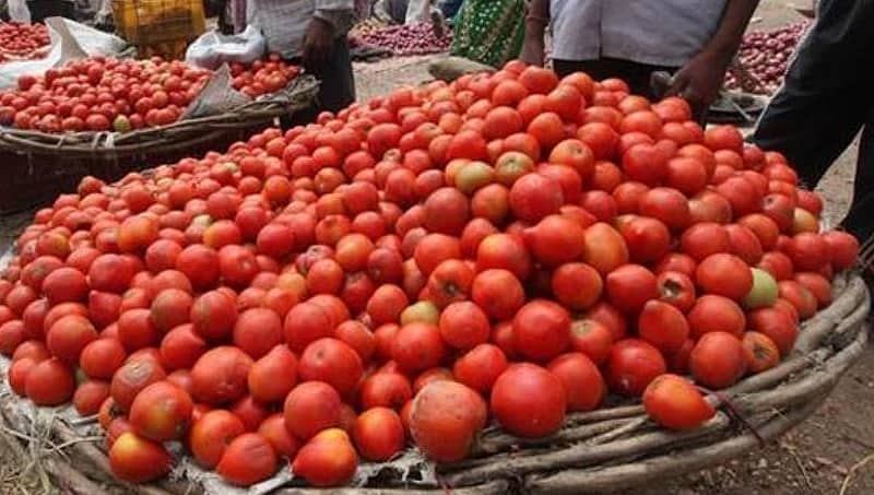 ನಮಗೆ ಹಣಕ್ಕಿಂತ ದೇಶ ಮುಖ್ಯ: ಪಾಕಿಸ್ತಾನಕ್ಕೆ ಟೊಮೆಟೊ ರಫ್ತು ನಿಲ್ಲಿಸಲು ಮಧ್ಯ ಪ್ರದೇಶ ರೈತರ ನಿರ್ಧಾರ!