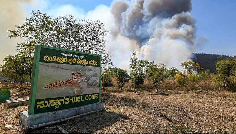 ಬಂಡೀಪುರದಲ್ಲಿ ಭೀಕರ ಕಾಡ್ಗಿಚ್ಚು, ಬೆಂಕಿಯ ಕೆನ್ನಾಲಿಗೆಗೆ ನೂರಾರು ಎಕರೆ ಅರಣ್ಯ ಪ್ರದೇಶ ಭಸ್ಮ