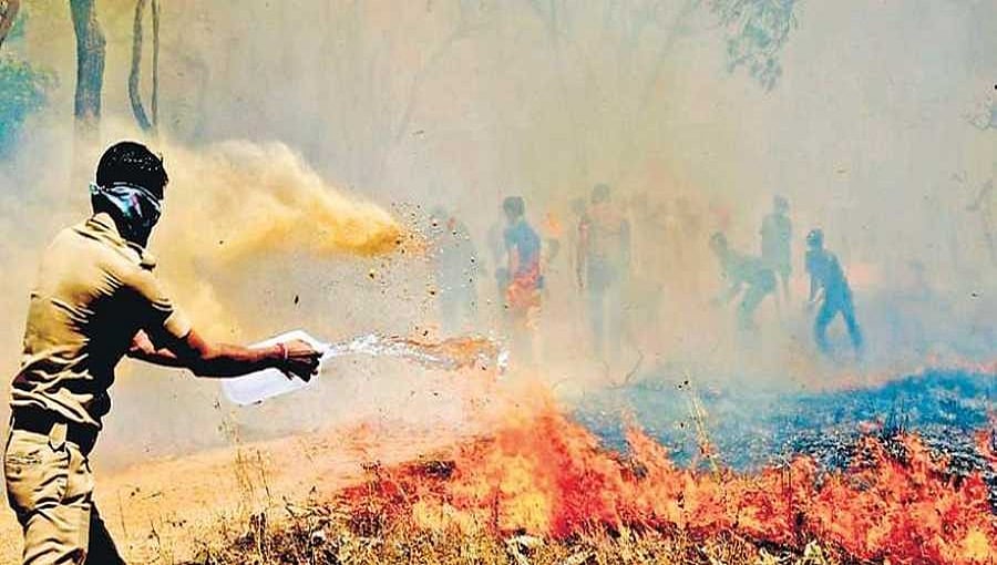 ಬಂಡೀಪುರದಲ್ಲಿ 10 ಸಾವಿರ ಎಕರೆ ಅರಣ್ಯ ಬೆಂಕಿಗೆ ಭಸ್ಮ!, ಈಗ ಎಚ್ಚೆತ್ತ ರಾಜ್ಯ ಸರ್ಕಾರ!