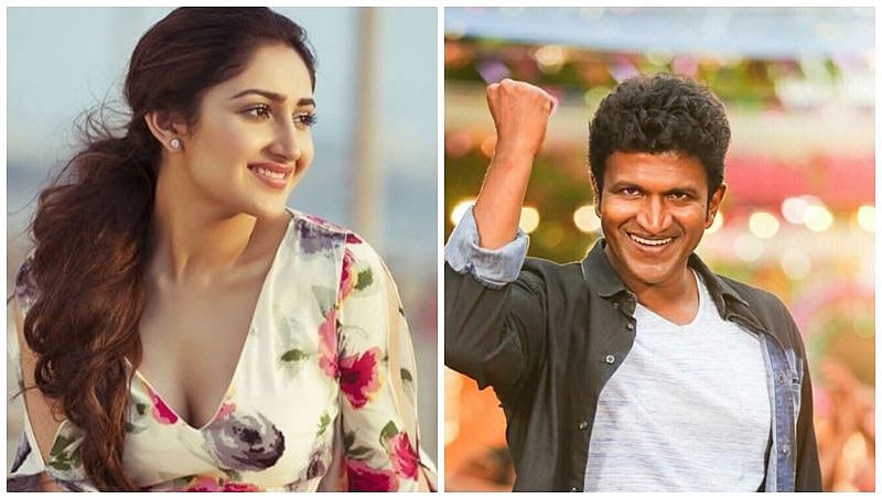 'ಯುವರತ್ನ'ನಿಗೆ ಸಯ್ಯೇಷಾ ಸೈಗಲ್ ಜೋಡಿ!
