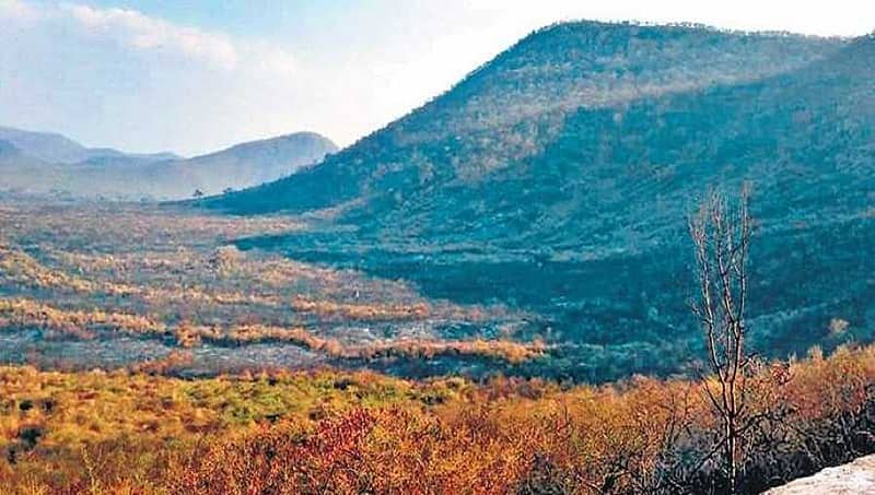ಬಾಂಬಿ ಬಕೆಟ್ ಸಕ್ಸಸ್; ಬಂಡೀಪುರ ಅರಣ್ಯದಲ್ಲಿ ಬೆಂಕಿ ಸಂಪೂರ್ಣ ನಿಯಂತ್ರಣ