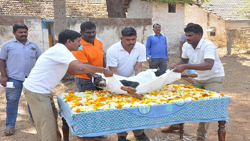 ಗದಗ: ನಿಷ್ಠಾವಂತ ಪತ್ತೆದಾರಿ ಪೋಲೀಸ್ ಶ್ವಾನ 'ರಮ್ಯಾ' ವಿಧಿವಶ