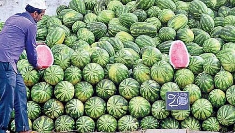 ಹೆಚ್ಚಾಗಿದೆ ಬಿಸಿಲಿನ ದಾಹ; ಹಣ್ಣು, ಎಳನೀರು ಮಾರಾಟಗಾರರಿಗೆ ಬಂಪರ್