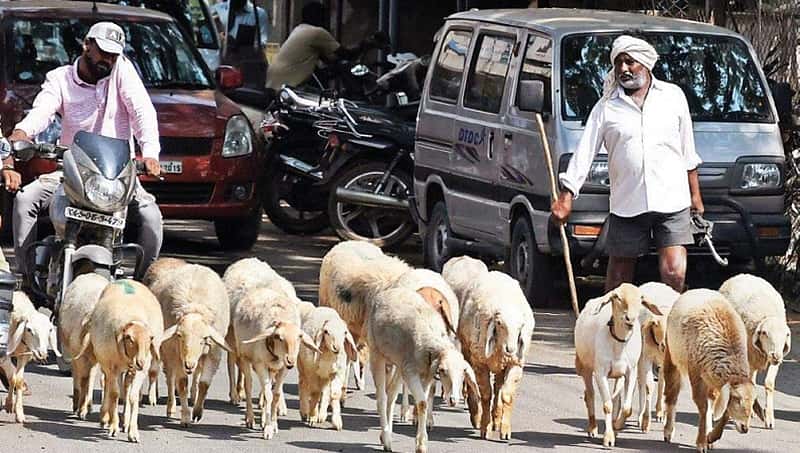ಲೋಕಸಭೆ ಚುನಾವಣೆ: ಜಿದ್ದಾಜಿದ್ದಿನ ಕ್ಷೇತ್ರ ಚಿಕ್ಕಬಳ್ಳಾಪುರದಲ್ಲಿ ಅಭಿವೃದ್ಧಿ ಮರೀಚಿಕೆ