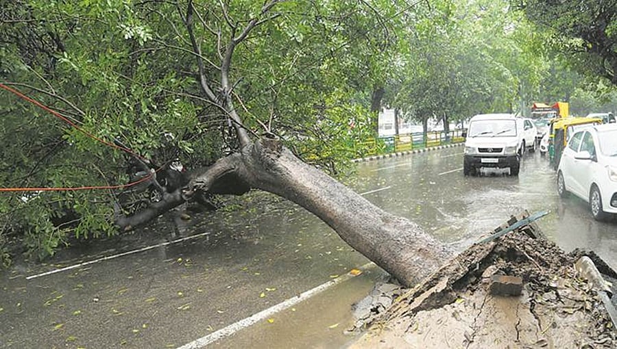 ಬೆಂಗಳೂರಿಗೆ ತಂಪೆರೆದ ಮಳೆ: ಧಾರಾಕಾರ ಮಳೆಗೆ ಬೈಕ್ ಸವಾರ ಬಲಿ