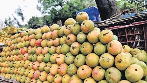 ಮೊಬೈಲ್ ಎತ್ತಿಕೊಂಡು ಒತ್ತಿ, ಮಾವಿನ ಹಣ್ಣು ಆರ್ಡರ್ ಮಾಡಿ; ಮೊಬೈಲ್ ಆಪ್ ಮೂಲಕ ಮಾವು ಖರೀದಿ!