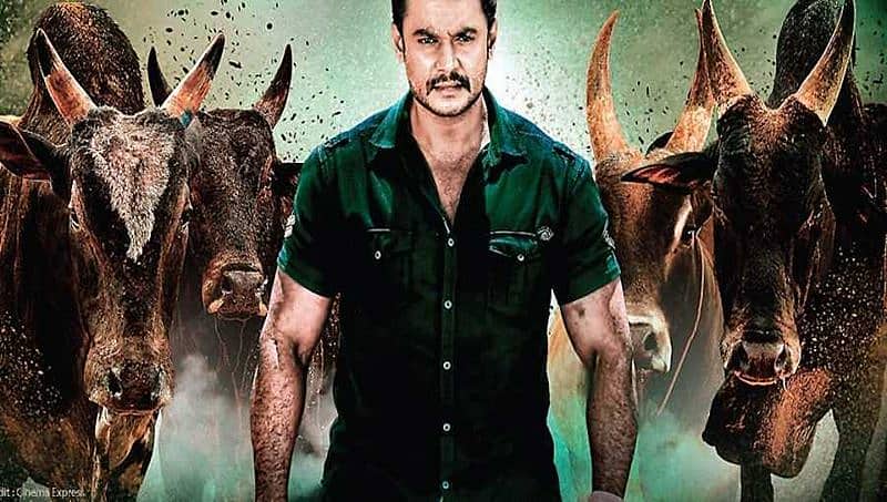 ಜೋಡೆತ್ತು ಸಿಕ್ಕಿದ್ದು ಯಾರಿಗೆ? ಕಳ್ಳೆತ್ತು ಹಿಡ್ಕೊಂಡವರು ಯಾರು? ನಿಖಿಲ್ ಎಲ್ಲಿದ್ದೀಯಪ್ಪಾ? ಯಾರ ಪಾಲು?