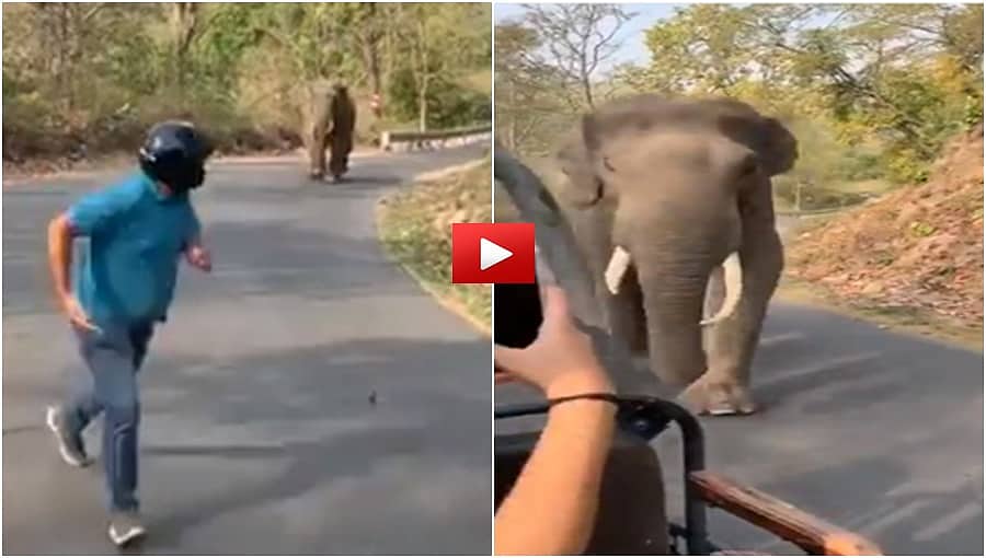 ಆಕ್ರೋಶಿತ ಆನೆ ದಾಳಿಗೆ ಹೆದರಿ ಬೆಂಡಾದ ಪ್ರವಾಸಿಗರು; ಬೈಕ್ ಪುಡಿ ಪುಡಿ, ವಿಡಿಯೋ ನೋಡಿದ್ರೆ ಎದೆ ನಡುಗುತ್ತೆ!