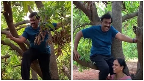 ಮರವೇರಿ ಮಾವಿನ ಕಾಯಿ ಕಿತ್ತು ಪತ್ನಿಗೆ ಕೊಟ್ಟ ಗಾಲಿ ಜನಾರ್ದನ ರೆಡ್ಡಿ