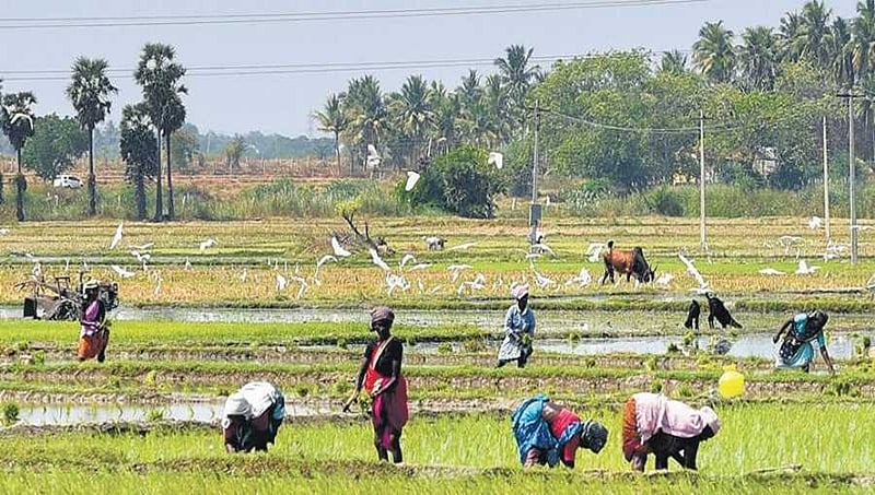ಆಧಾರ್ ಜೋಡಣೆ ಕಡ್ಡಾಯ, ಸಾಲ ಮನ್ನಾ ಸಾಪ್ಟ್ ವೇರ್ ನಿಂದ ಸರ್ಕಾರಕ್ಕೆ 5,500 ಕೋಟಿ ಹಣ ಉಳಿತಾಯ