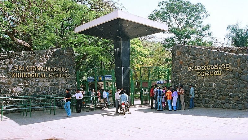 ಮೈಸೂರು ಪ್ರಾಣಿ ಸಂಗ್ರಹಾಲಯದ ಪ್ರವೇಶ ದರ ಹೆಚ್ಚಳ