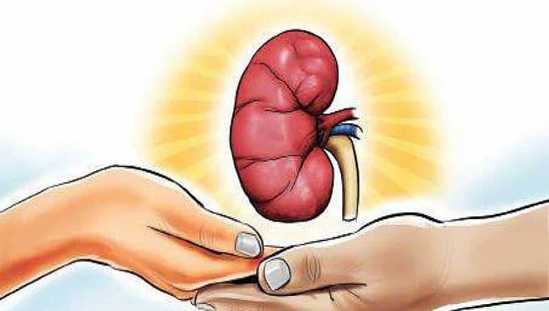 ಭಾರತದಲ್ಲಿ ಇದೇ ಮೊದಲು: 3 ವರ್ಷದ ಮಗುವಿನ ದೇಹದಾನ ಮಾಡಿ ಮಾನವೀಯತೆ ಮೆರೆದ ಪೋಷಕರು!