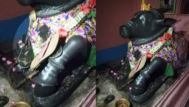 ವಿಜಯಪುರ: ನಂದಿ ವಿಗ್ರಹಕ್ಕೆ ಚಪ್ಪಲಿ ಹಾರ, ಹಾಕಿ ಅವಮಾನ!