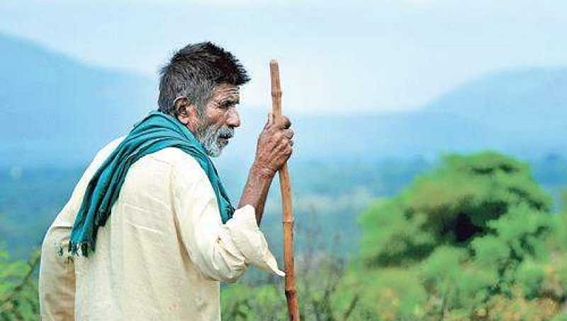 83ರ ಇಳಿ ವಯಸ್ಸಿನಲ್ಲೂ ಆರದ ಉತ್ಸಾಹ; ಇನ್ನೂ 4 ಕೆರೆಗಳನ್ನು ಅಗೆಯುತ್ತಾರಂತೆ ಅಜ್ಜ ಕಾಮೇಗೌಡರು!