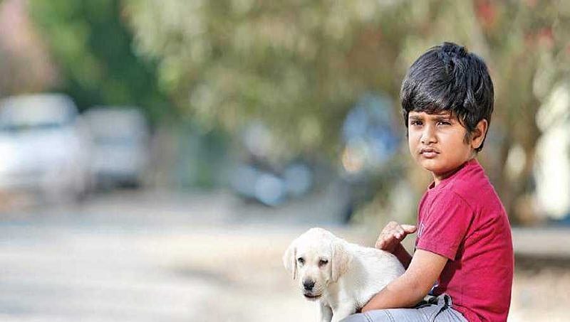 ಬಿಡುಗಡೆಗೂ ಮುನ್ನ ಪ್ರಶಸ್ತಿ ಬಾಚಿಕೊಂಡಿರುವ ಕನ್ನಡದ ಬೌ ಬೌ ಸಿನಿಮಾ 7 ಭಾಷೆಗಳಲ್ಲಿ ರಿಲೀಸ್