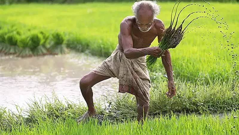 ಕೃಷಿ ಕ್ಷೇತ್ರ ಸುಧಾರಣೆಗೆ ಕರ್ನಾಟಕ ಸೇರಿ ಹಲವು ರಾಜ್ಯಗಳ ಸಿಎಂಗಳನ್ನೊಳಗೊಂಡ ಸಮಿತಿ ರಚನೆ