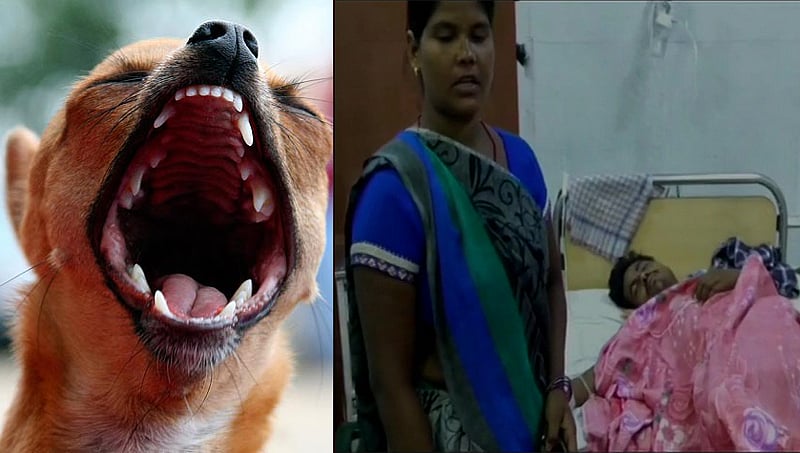 ಅನುಮಾನ ತಂದ ಎಡವಟ್ಟು..! ನಾಯಿಗಳಿಗೆ ಹೆದರಿ ಅವಿತಿದ್ದವನ ಕಳ್ಳ ಎಂದು ಭಾವಿಸಿ ಬೆಂಕಿ ಇಟ್ಟರು!