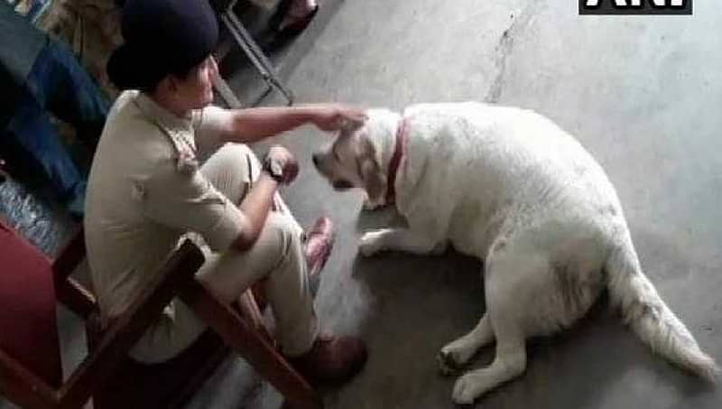 ಕೊಲೆ ಪ್ರಕರಣದಲ್ಲಿ ಜೈಲು ಸೇರಿದ ಮಾಲೀಕ: ಪೊಲೀಸ್ ಠಾಣೆಯೇ ಮನೆಯಾಯ್ತು ಈ ನಾಯಿಗೆ!