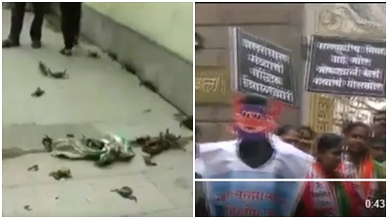 ತಿವಾರೆ ಅಣೆಕಟ್ಟು ಬಗ್ಗೆ ಅಸಂಬದ್ಧ ಹೇಳಿಕೆ: ಮಹಾರಾಷ್ಟ್ರ ಸಚಿವರ ನಿವಾಸದ ಹೊರಗಡೆ ಏಡಿ ಸುರಿದು ಪ್ರತಿಭಟನೆ