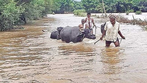 ಉಕ್ಕಿ ಹರಿದ ಕೃಷ್ಣಾ ನದಿ: ಬೆಳಗಾವಿ ಜಿಲ್ಲೆಯ ಹಲವು ಗ್ರಾಮಗಳಿಗೆ ಜಲಾವೃತ ಭೀತಿ